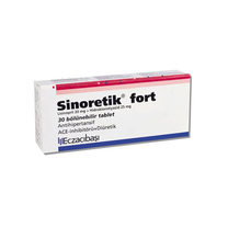 Eczacibasi Sinoretik Fort
