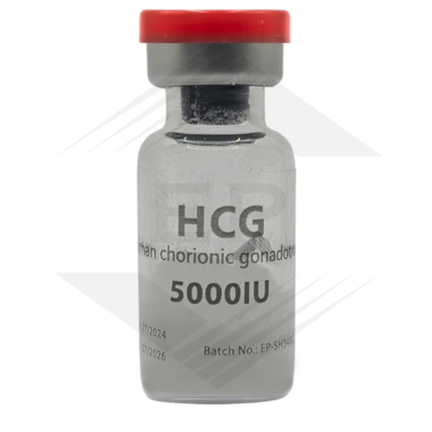 Buy HCG 5000 Euro online