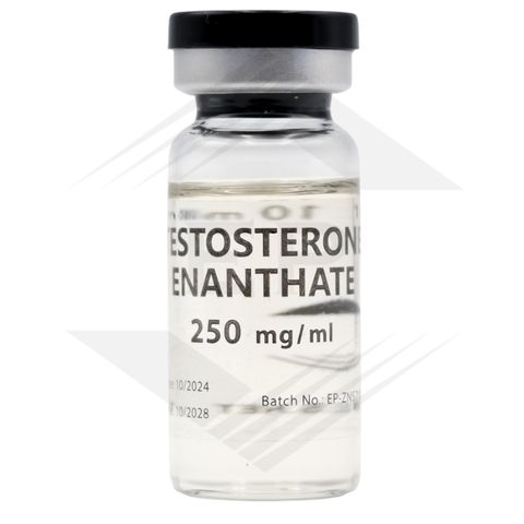 Buy Testosterone Enanthate Euro US online