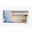 Image 1 - Hilma Somatropin powder 100IU - Hilma Biocare buy online. Somatropin