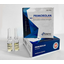 Image 1 - Genetic Primobolan - Genetic Pharmaceuticals buy online. Methenolone Enanthate